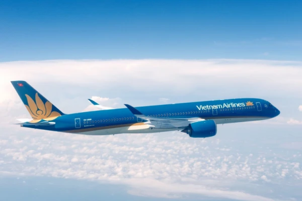 Bài viết chung một hướng nhìn